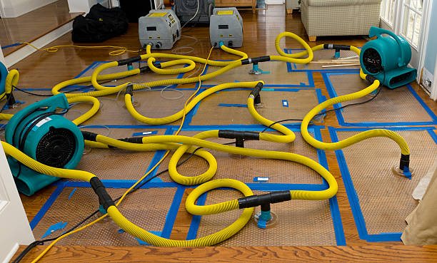 Professional Structural Drying And Dehumidification technician working in East Marion, NY